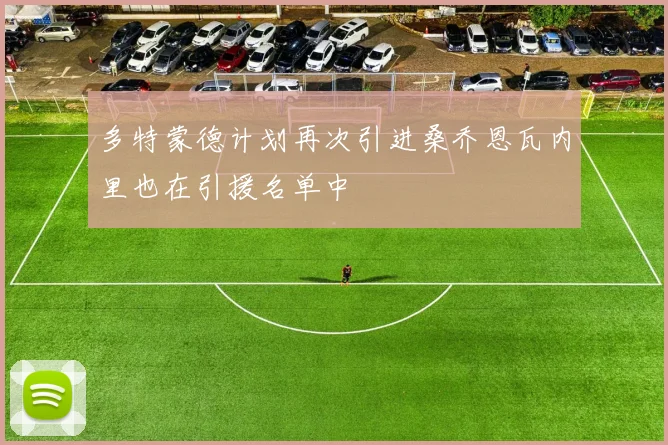 多特蒙德计划再次引进桑乔恩瓦内里也在引援名单中