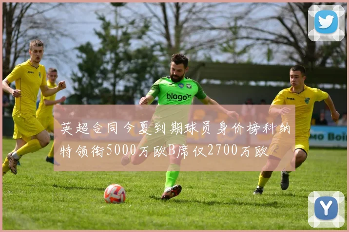 英超合同今夏到期球员身价榜科纳特领衔5000万欧B席仅2700万欧