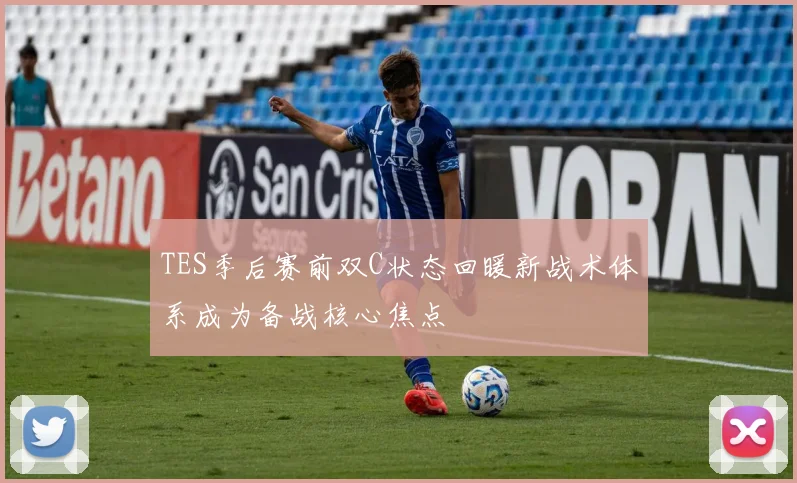 TES季后赛前双C状态回暖新战术体系成为备战核心焦点
